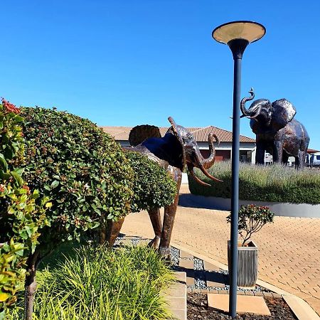 Suikerbossie Guesthouse ブルームフォンテーン エクステリア 写真