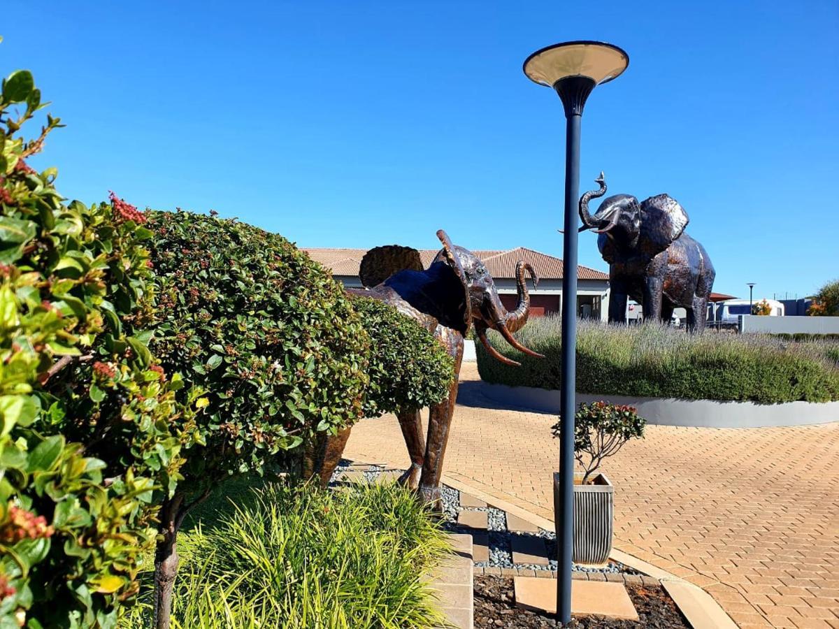 Suikerbossie Guesthouse ブルームフォンテーン エクステリア 写真